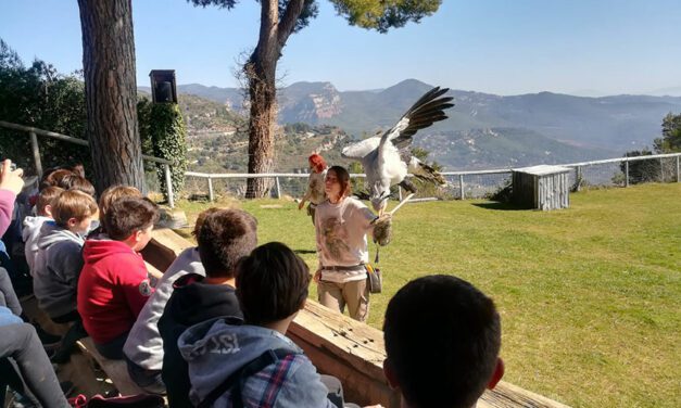 Visita al Cim d’Àligues i a la Fàbrica Danone (Cicle superior de Primària)