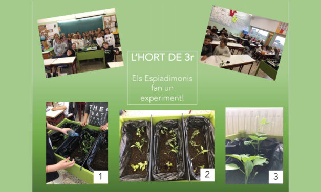 Els alumnes de 3r de Primària hem fet un hort a la classe