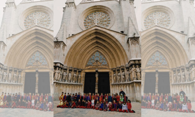 Cicle Inicial visita la Catedral de Tarragona