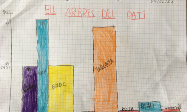 Diagrama dels arbres del pati del Col·legi (2n d’EP)