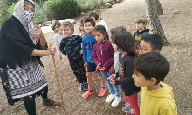 Castanyes i carbasses