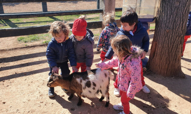 Dia de Granja (P3)