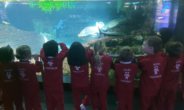 VISITA A L’ AQUÀRIUM DE BARCELONA (P4 i P5)