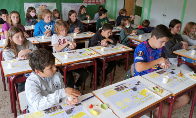 TALLER: JA HAS BEGUT OLI?