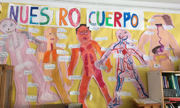 Estudiem el cos humà (2n d’EP)