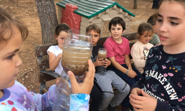 Fem una depuradora (2n de Primària)