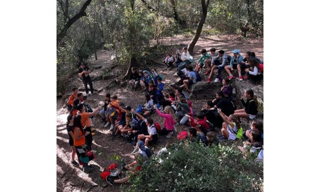 COLÒNIES DE CICLE SUPERIOR DE PRIMÀRIA A BANYOLES