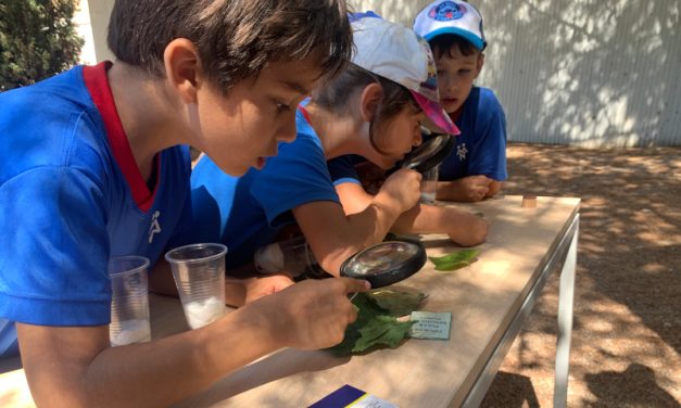 Los alumnos de 1º y 2º descubren el mundo de los insectos y las flores en el Jardín de las Mariposas de la URV